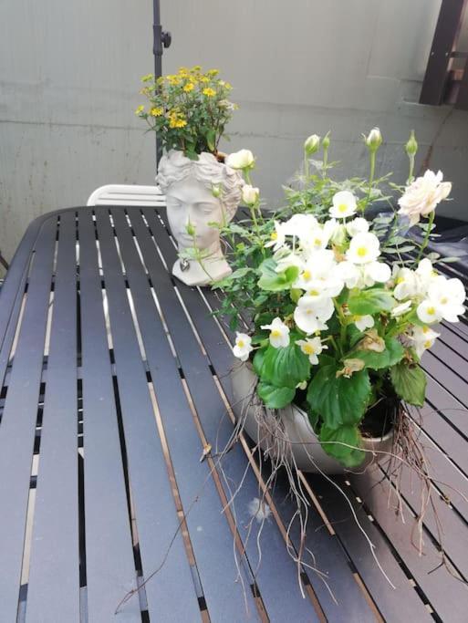 - Parkblick - Am Buhl'schen Park - Zentrumsnah Apartment Deidesheim