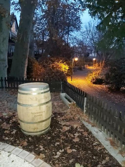Apartment - Parkblick - Am Buhl'schen Park - Zentrumsnah *