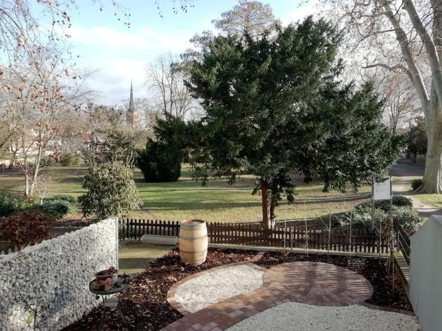 - Parkblick - Am Buhl'schen Park - Zentrumsnah Апартаменты